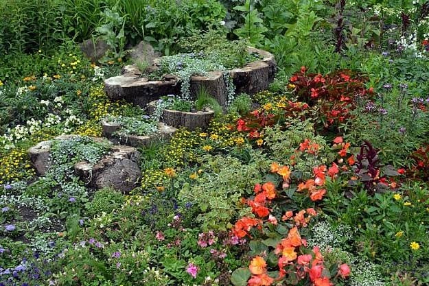 Shade Garden Design | Garden Planning And Design | Practical Tips, Tricks, Ideas, And Guides