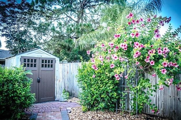 Budget-Friendly Garden Shed Ideas Worth Every Dollar | Garden Planning And Design | Practical Tips, Tricks, Ideas, And Guides