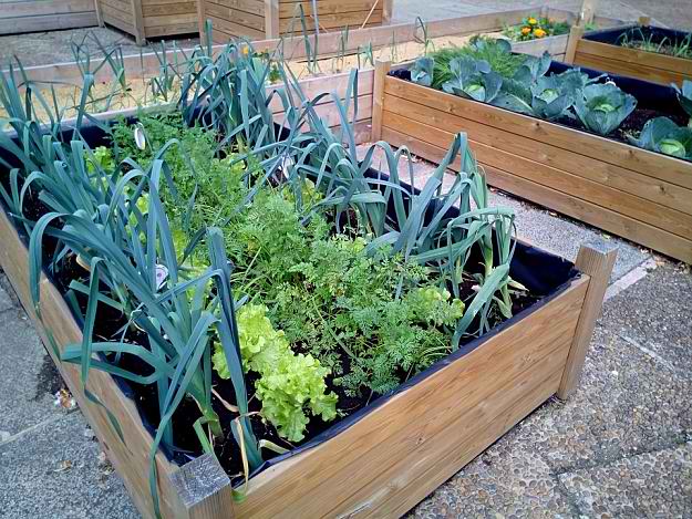 Creative Raised Bed Garden Ideas | Garden Planning And Design | Practical Tips, Tricks, Ideas, And Guides