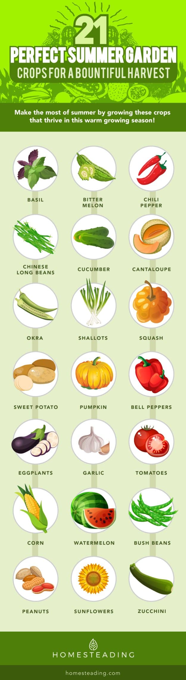 25 Perfect Summer Garden Crops For A Bountiful Harvest