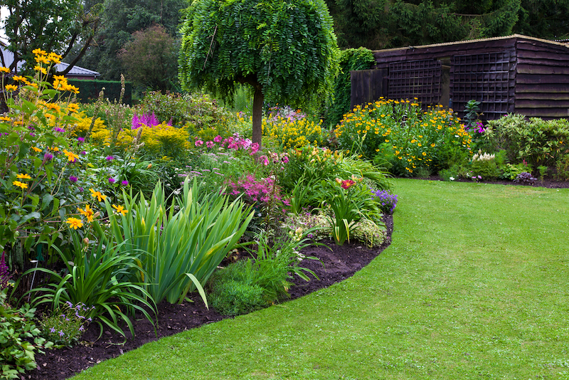 Garden Landscape | A Quick Design Guide And Nifty Ideas For Beginners