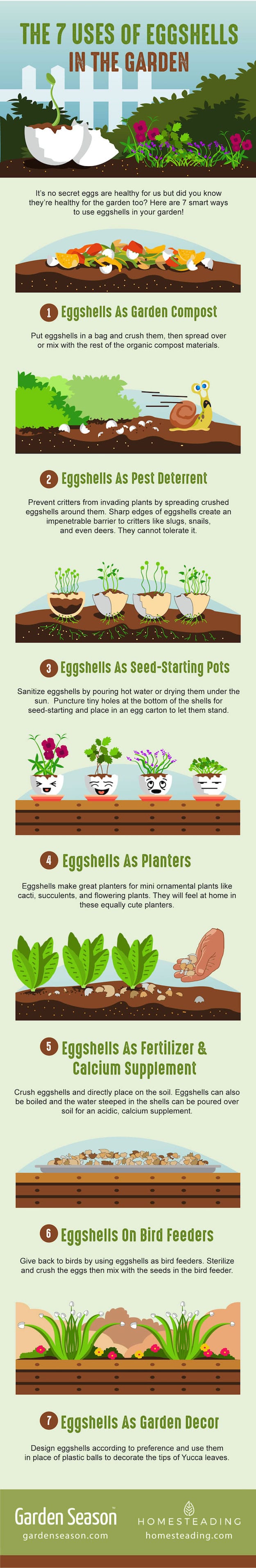 The 7 uses of eggshells in the garden | How To Use Eggshells In The Garden | Cost-Cutting Gardening Hacks