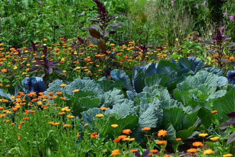 Grow A Four Season Vegetable Garden With 37 Veggies In-Season