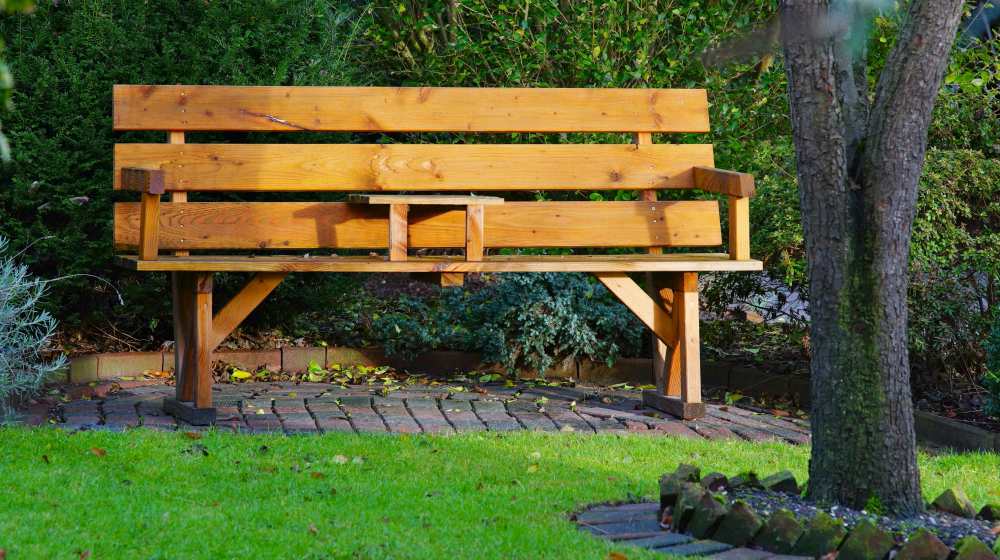 photo of backyard bench at garden | Small Garden Ideas And Tips | How To Design Gardens In Limited Spaces | small garden ideas | garden ideas