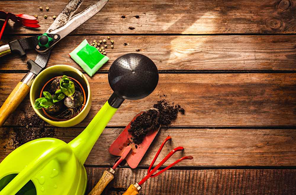 Basic Gardening Tools | Starting A Garden This Spring | Easy Gardening Tips And Tricks