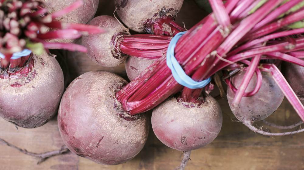 close up photo of beets | Spring Vegetable Garden Plants Perfect For Spring Growing Season | vegetable garden plants | spring garden vegetables