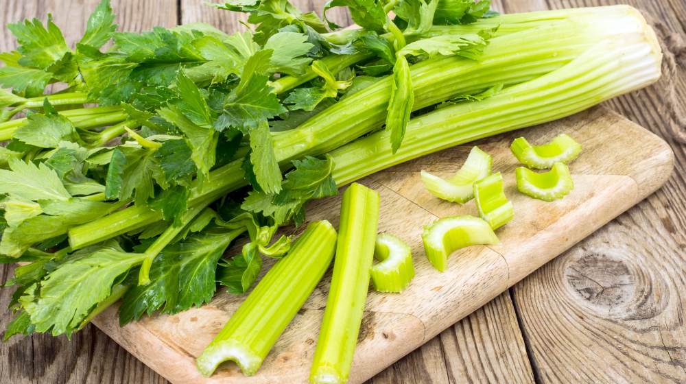 fresh celery stalk leaves on table | Spring Vegetable Garden Plants Perfect For Spring Growing Season | vegetable garden plants | vegetables to grow in spring