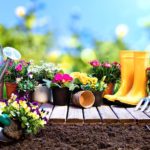 Flowers and Gardening Tools | Starting A Garden This Spring | Easy Gardening Tips And Tricks | Featured