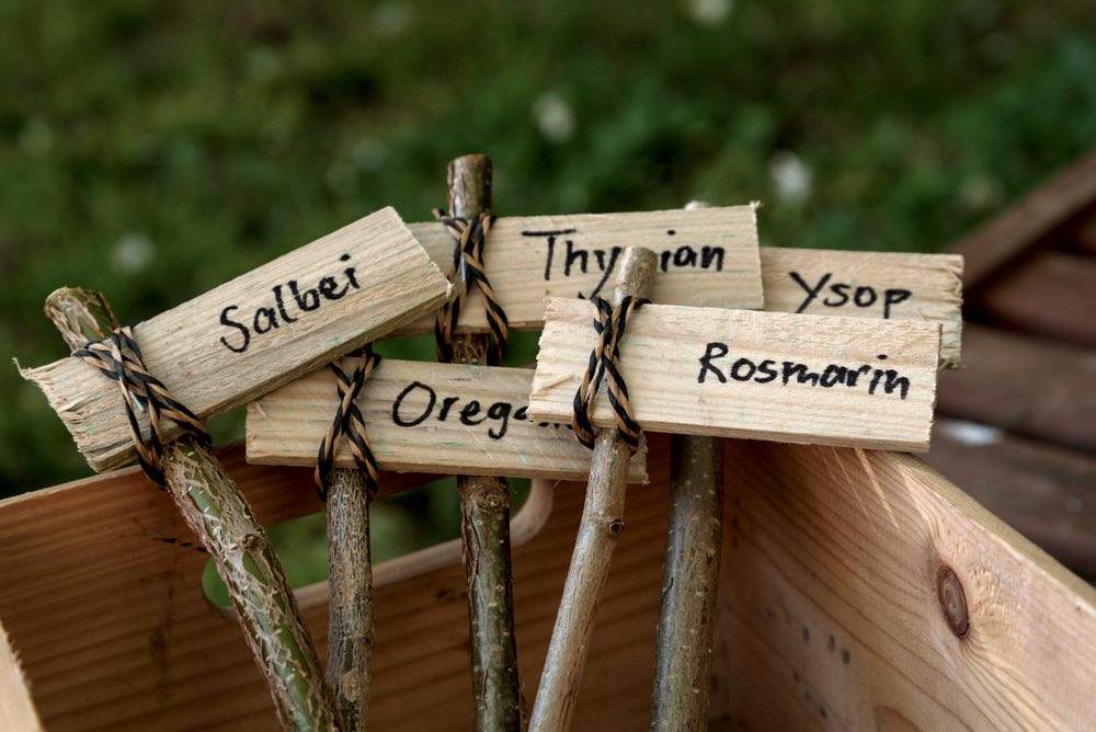 Plant Markers | DIY Spring Garden Ideas To Get Ahead This Growing Season