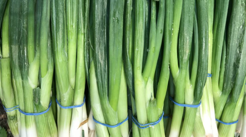 photo of scallions tied together | Spring Vegetable Garden Plants Perfect For Spring Growing Season | vegetable garden plants | what to grow in spring