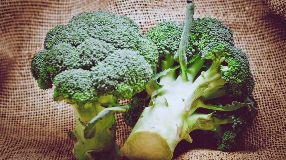 close up photo of broccoli | Spring Vegetable Garden Plants Perfect For Spring Growing Season | vegetable garden plants | vegetables to plant in spring