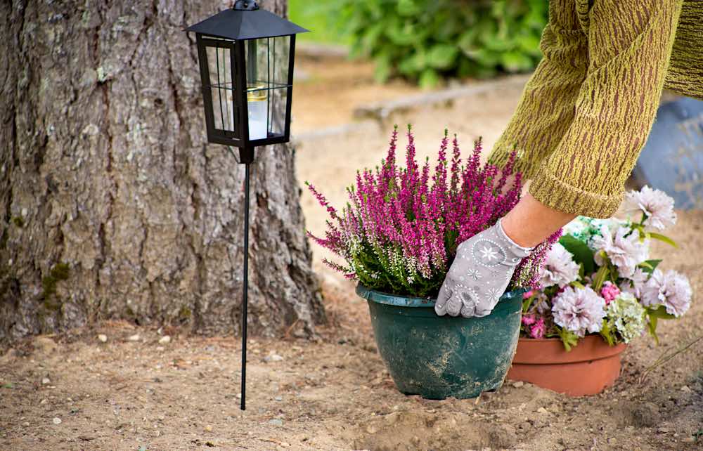 Woman Fixing A Pot Of Flower | Starting A Garden This Spring | Easy Gardening Tips And Tricks