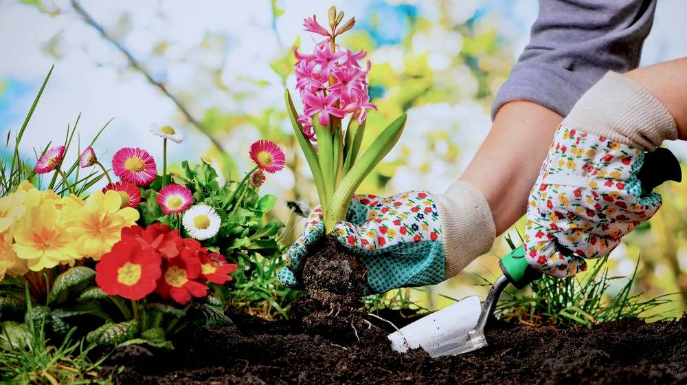 Gardener Planting Flowers | Practical Gardening Skills Every Gardener Should Have Handy| Featured