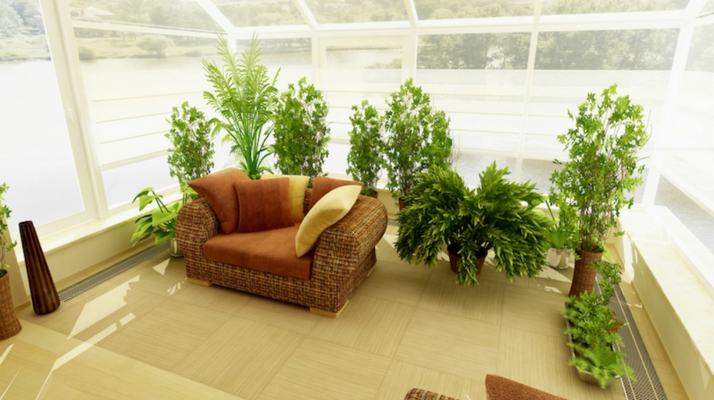 home sofa with indoor plants inside glass house green house | Indoor Winter Garden To Extend Growing And Harvest Season | winter garden | FEATURED
