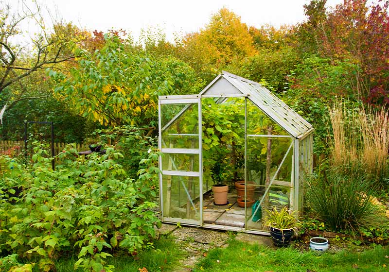 Greenhouse in autumn | Vegetable Garden Design: How To Layout A Fall Garden | vegetable garden design