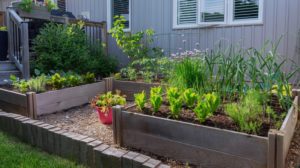 Backyard Garden | Pros And Cons Of Square Foot Gardening | Garden Season | Featured