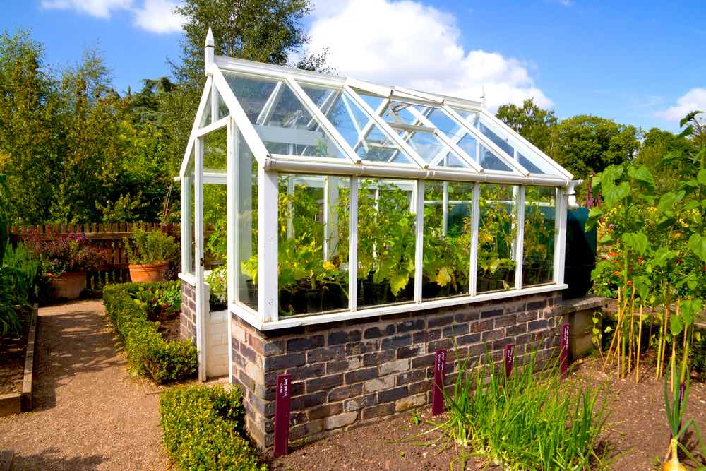 Glass Panel Greenhouse | Greenhouse Gardening Mistakes And How To Avoid Them