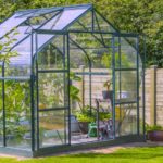 Greenhouse Near Wooden Fence | Greenhouse Gardening Mistakes and How To Avoid Them | Featured