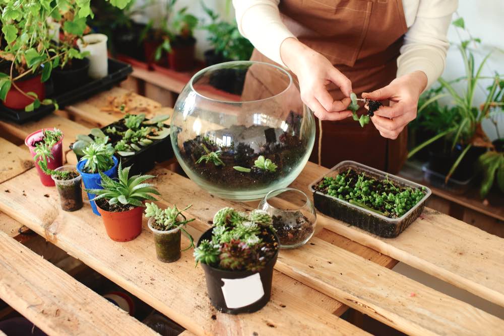 Person Making Terraniums | Creative Indoor Gardening Ideas You Can Do For The Holidays