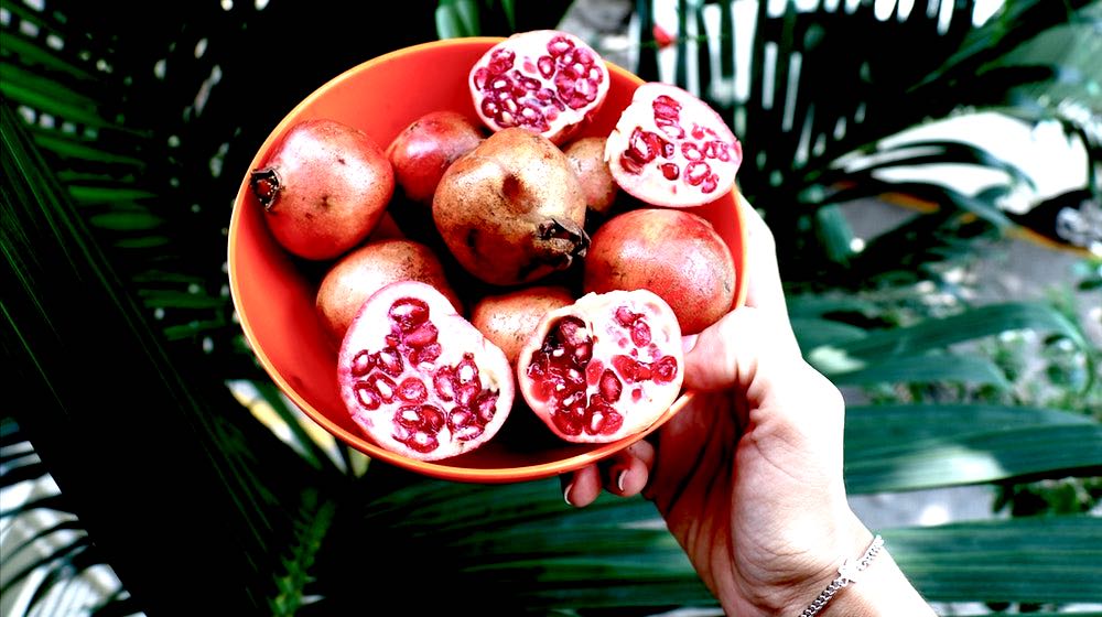 Person Holding Pomegranates | How To Store Pomegranate Seeds | Garden Season Tips | Featured