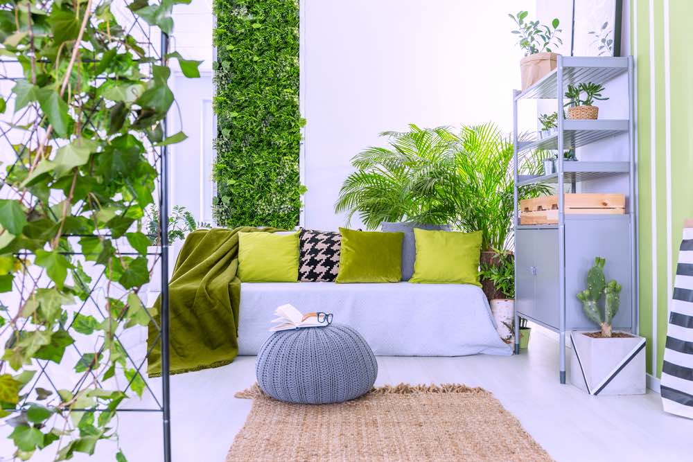Plants Inside Living Room | Creative Indoor Gardening Ideas You Can Do For The Holidays