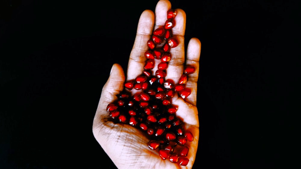 Red Pomegranate Seeds | How To Store Pomegranate Seeds | Garden Season Tips