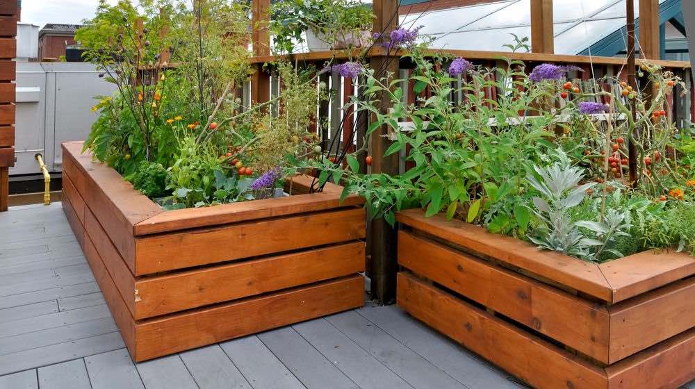 Rooftop Garden Urban Building | Raised Bed Gardening Ideas: DIY A Raised Garden Bed | Featured