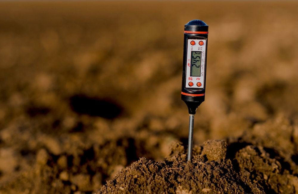 Soil Temperature | Greenhouse Gardening Mistakes and How To Avoid Them