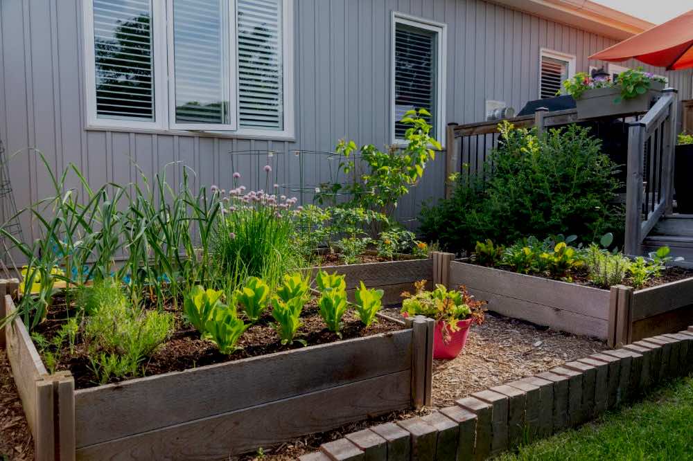 small garden with different plantboxes | Pros And Cons Of Square Foot Gardening | Garden Season