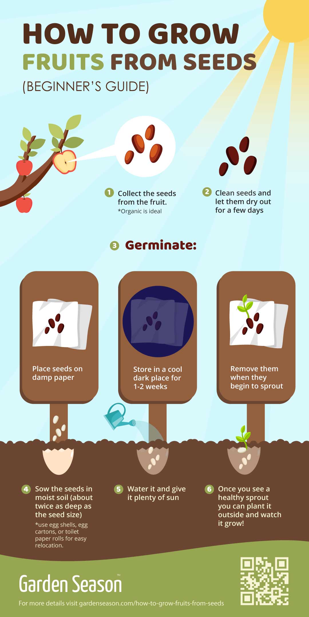 How To Grow 17 Fruits From Seeds [INFOGRAPHIC]