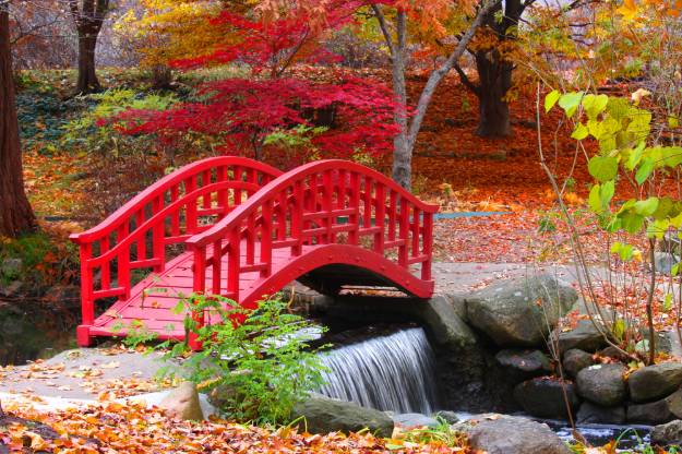 Create An Island | Create An Authentic Japanese Garden With These Essential Items
