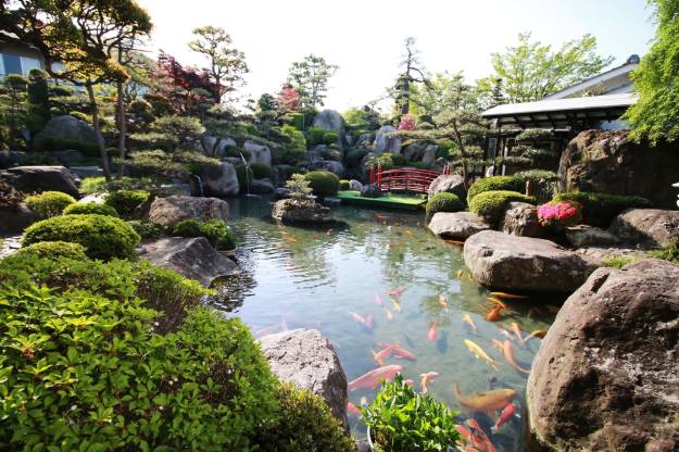 Structure From Plants | Create An Authentic Japanese Garden With These Essential Items