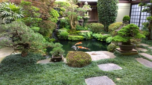 Fish Pond | Create An Authentic Japanese Garden With These Essential Items