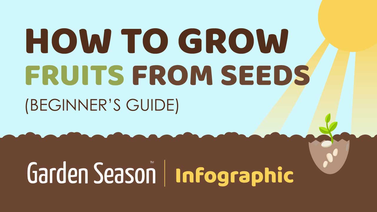 feature image | How To Grow 17 Fruits From Seeds [INFOGRAPHIC]