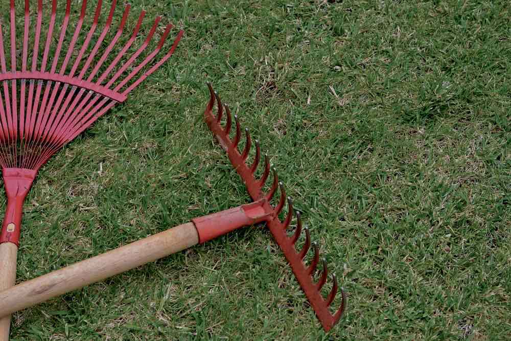 Garden Rakes on Grass | 10 Essential Garden Tools To Complete Your Gardening Tool Kit