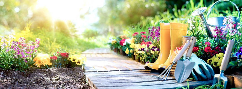 Gardener Set Tools | Gardening For Beginners: Tips For A Beautiful Flower Garden