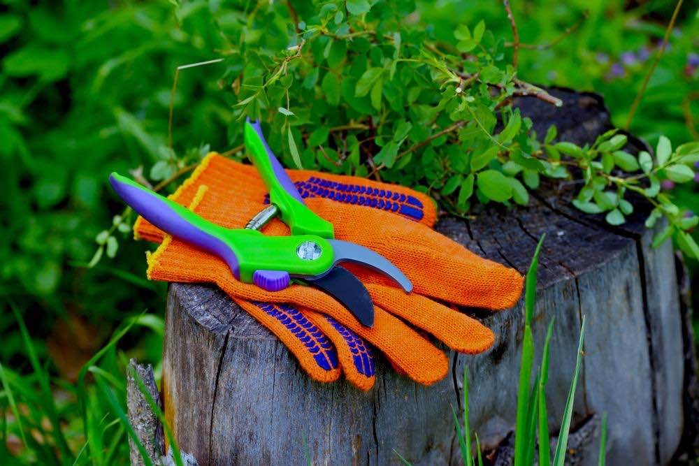 Gardening Gloves & Pruner | 10 Essential Garden Tools To Complete Your Gardening Tool Kit