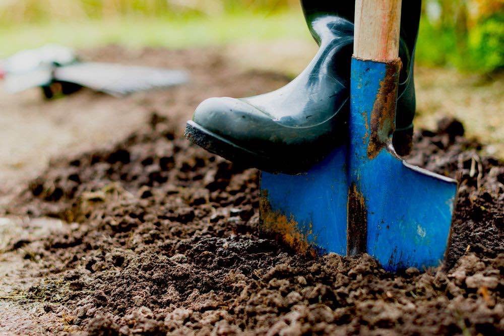 Person Digging Soil With Shovel |10 Essential Garden Tools To Complete Your Gardening Tool Kit