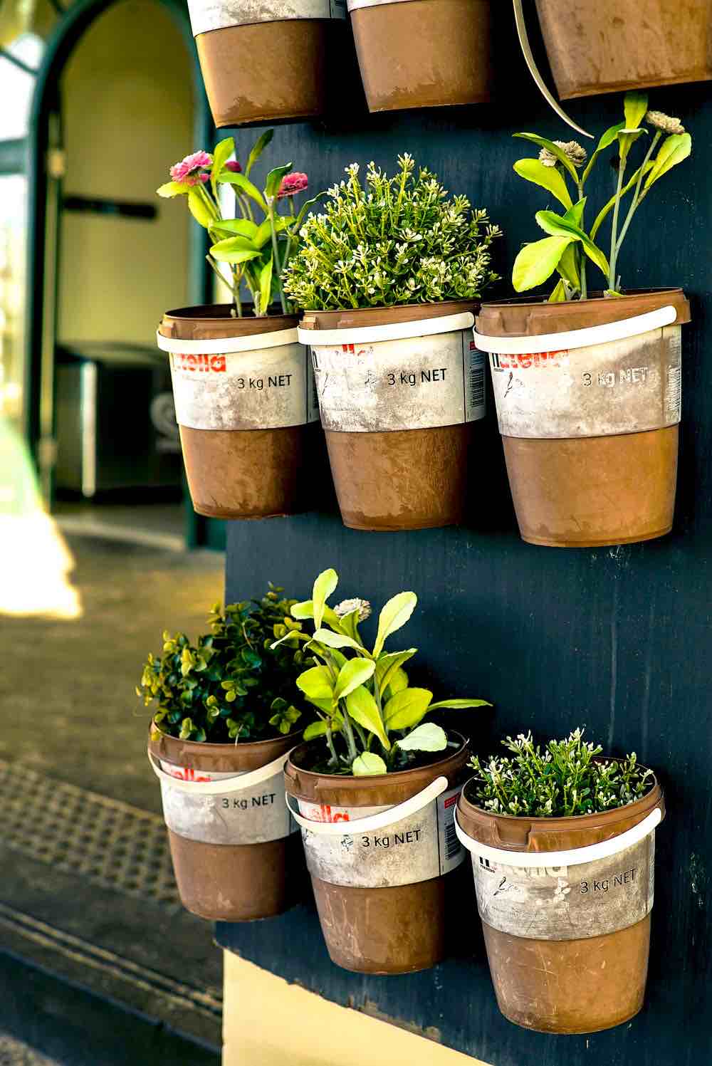 Potted Plants Close Up Photo | 13 Must Try Backyard Landscaping Ideas For Small Spaces
