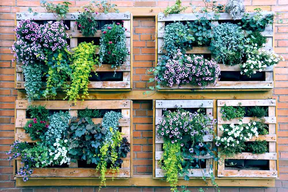 Small Example Vertical Green Wall Planting | 13 Must Try Backyard Landscaping Ideas For Small Spaces