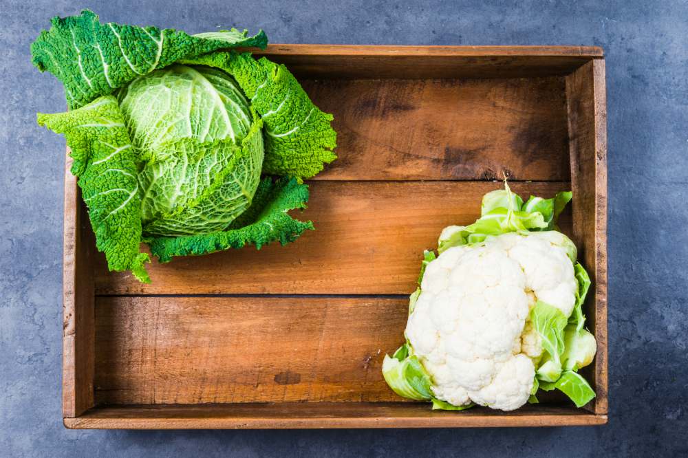Cabbages green savoy and white cauliflower in rustic wood box copy | Comprehensive Companion Planting Guide For Every Gardener
