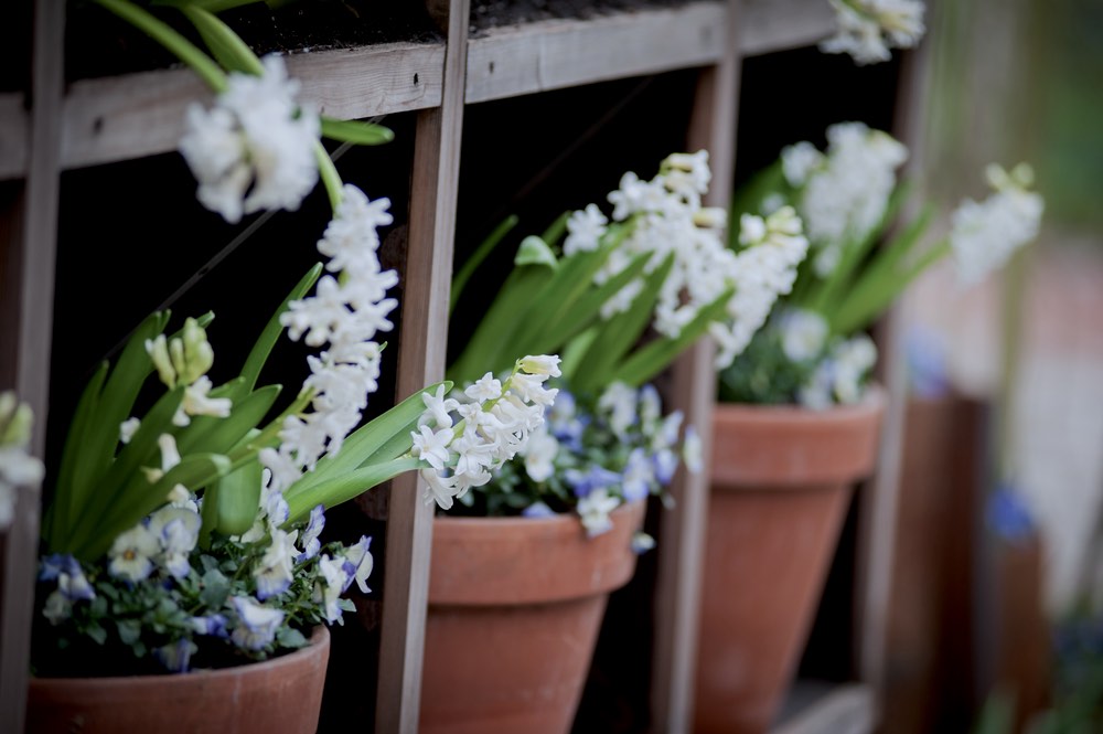Flower Pot Shelves | DIY Garden Storage Shed Ideas To Save Money