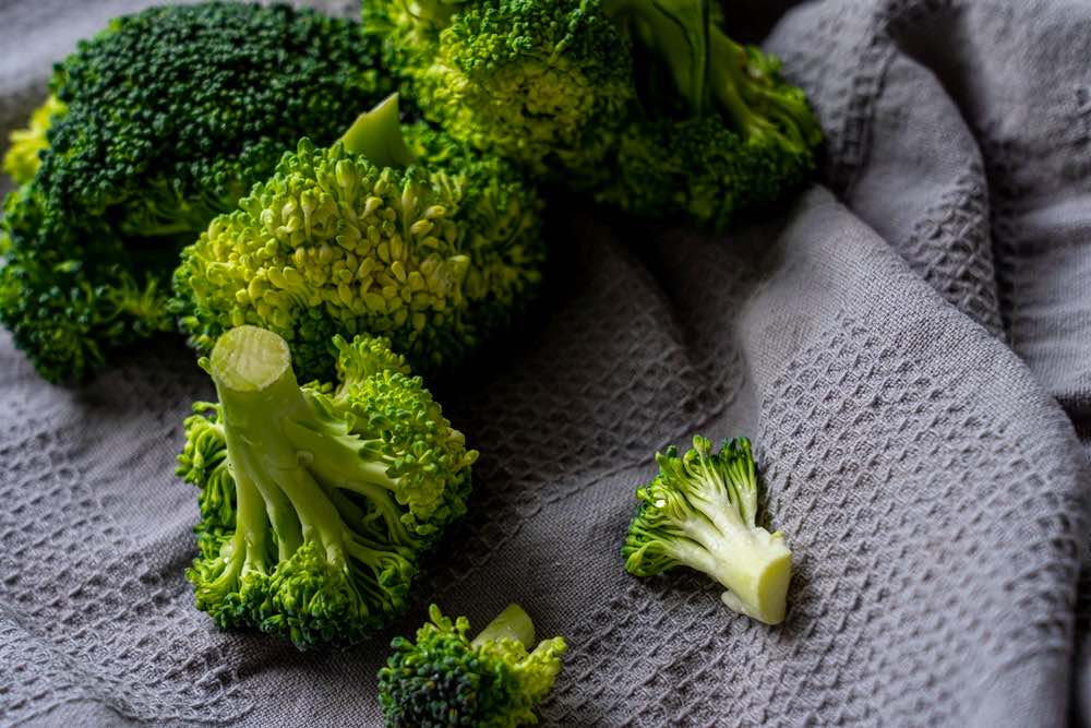 Green Broccoli | Spring Vegetables To Plant In Your Garden