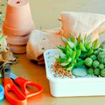 Garden Handmade on the table | Mini Garden Projects To Make With Your Kids | featured