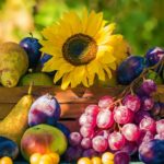Garden in late summer | Perfect Summer Garden Crops For A Bountiful Harvest | summer gardening | featured