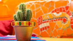 Mexican cactus in the pot | Festive Cinco de Mayo Crafts To Decorate Your Pots And Garden | cinco de mayo garden | featured
