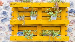 Wooden pallet attached to an old wall used as a flower vase | easy pallet garden ideas anyone can make | pallet garden wall | featured
