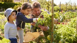 Father And Children Looking At Tomatoes Growing On Allotment | Help Your Kids Grow A Pizza Garden | mini garden | Featured