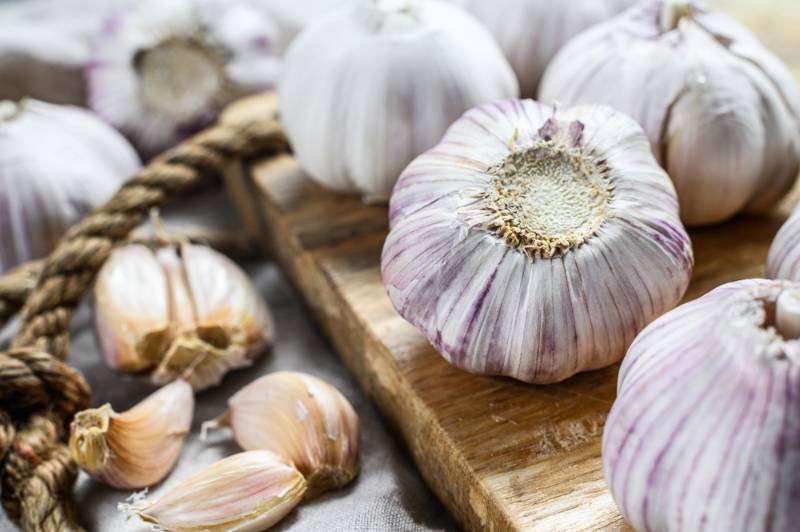 Garlic | Herbs To Plant In Your Garden To Fight Off Flu And How To Use Them