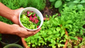 Person holding bowl of vegetables | How to Create Your Own Survival Garden | Featured